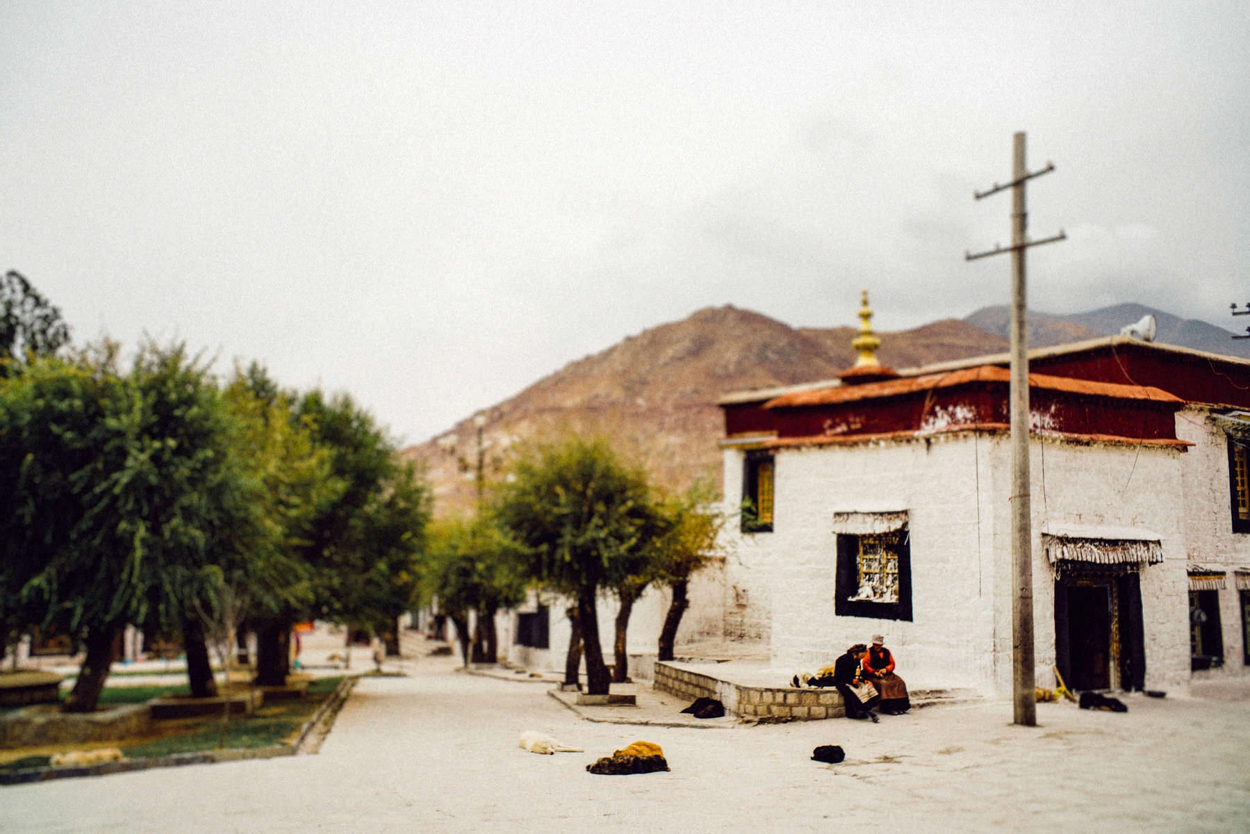 tibet lhasa sera monastry 0029 - Lhasa Jokhang & Sera Monastery