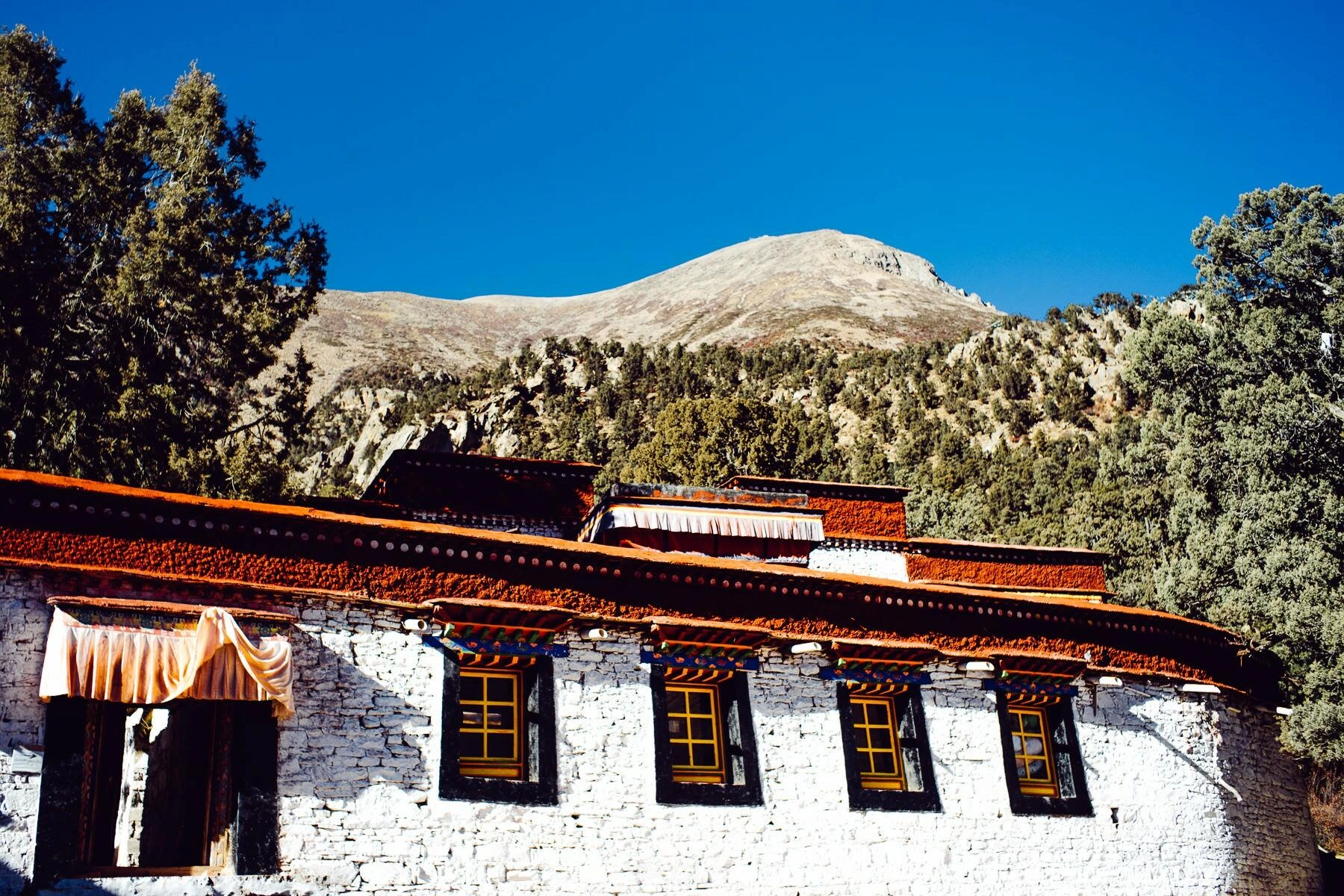 tibet reiting monastery temple lhasa 0015 - Vom Nam Tso zum Kloster Reiting