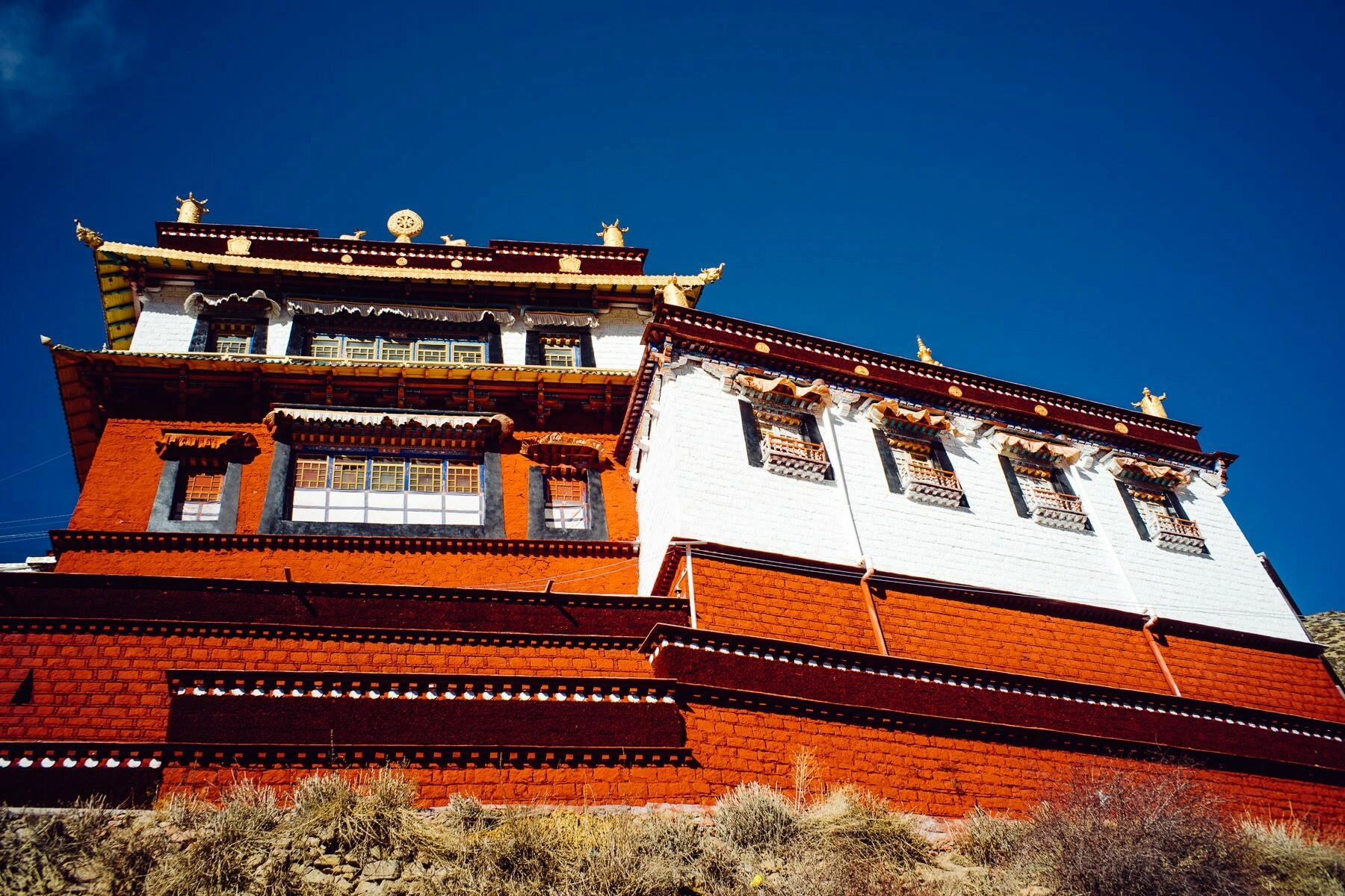 tibet trigung terdum monastery 0013 - Drigung & Terdom