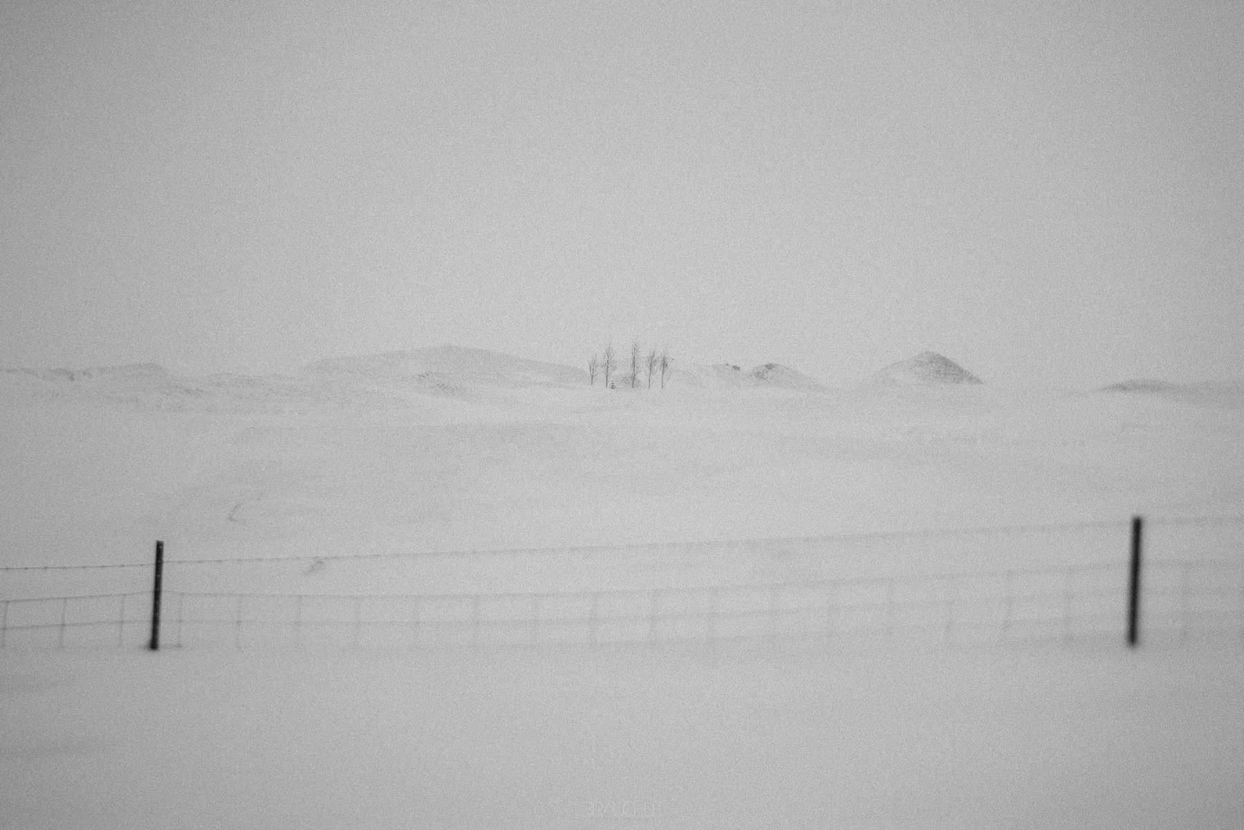 winter ringroad vik kirkjubaejarklaustur iceland 0015 - Island - Von Vik nach Kirkjubæjarklaustur