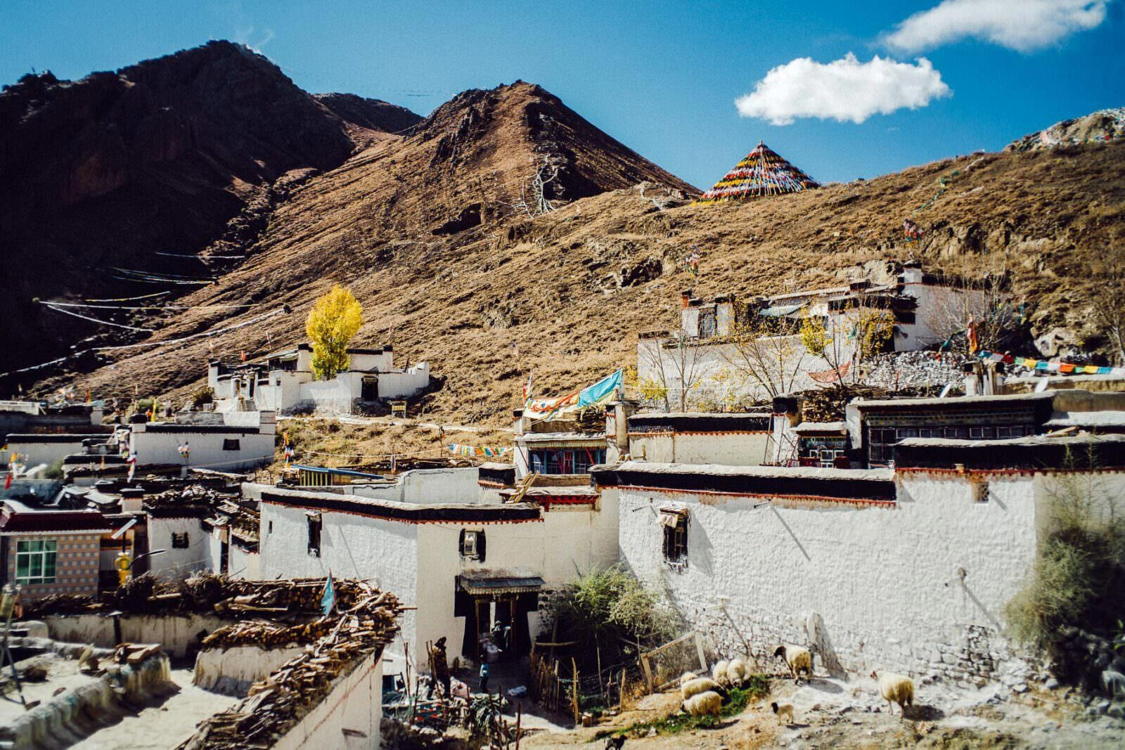 xigaze tashilhunpo tibet lhasa 0012 - Gyantse nach Xigaze