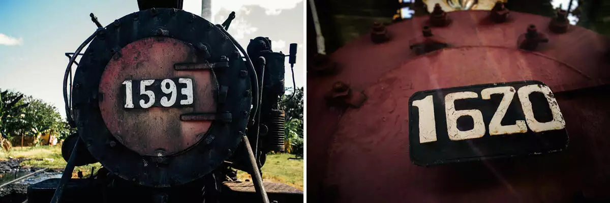 010 cienfuegos australia schweinebucht krokodilfarm - From Old Locomotives near Australia to the Bay of Pigs