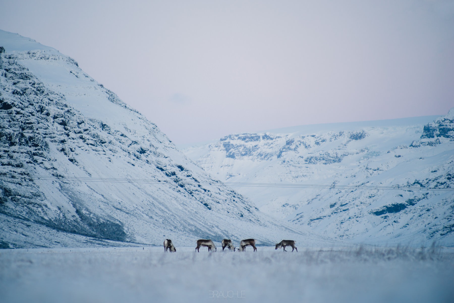 iceland east fjords ringroad roadtrip 1 - Rumbo a los fiordos del este iceland east fjords ringroad roadtrip 1 - Rumbo a los fiordos del este
