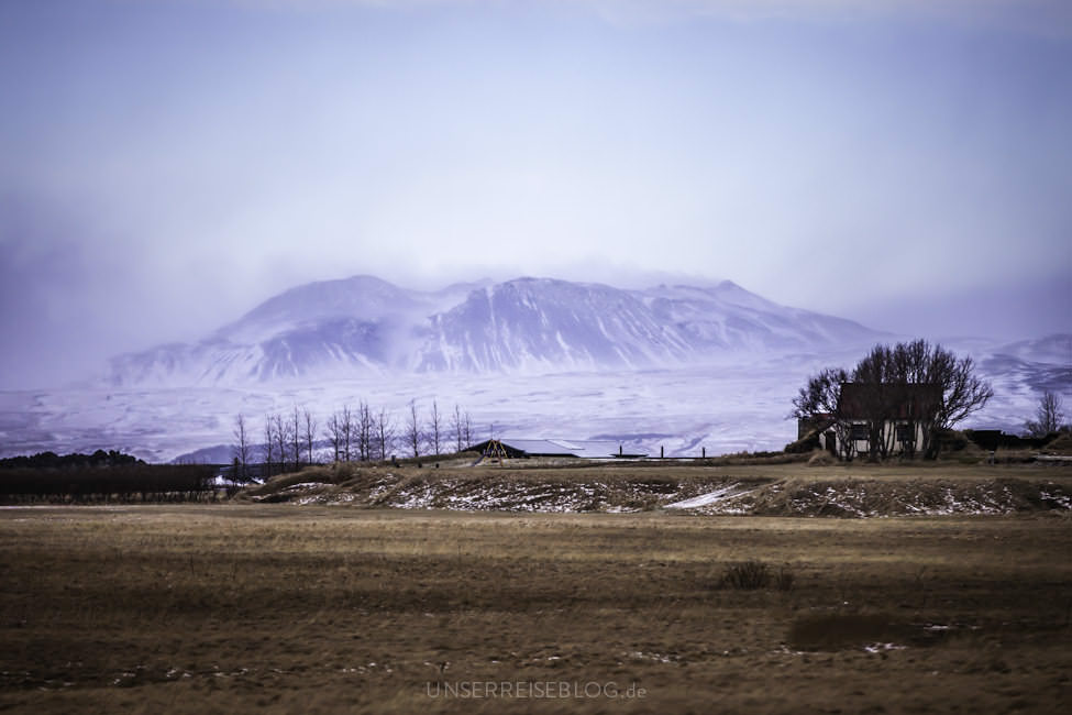 island 13 111 - Weg nach Vik island 13 111 - Weg nach Vik