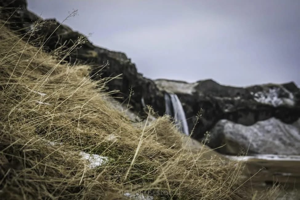 island 13 6 - Weg nach Vik island 13 6 - Weg nach Vik